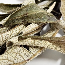 Yerba Santa Leaf Cut and Sifted Bulk