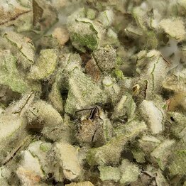 Mullein Leaf Cut and Sifted Bulk