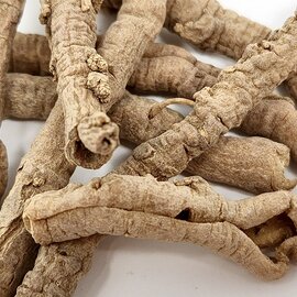 Senega, Chinese Root Cut and Sifted Bulk