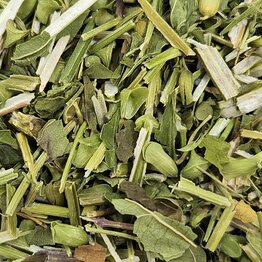 Skullcap Arial Cut and Sifted Bulk