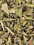 Spearmint Leaf Cut and Sifted Bulk