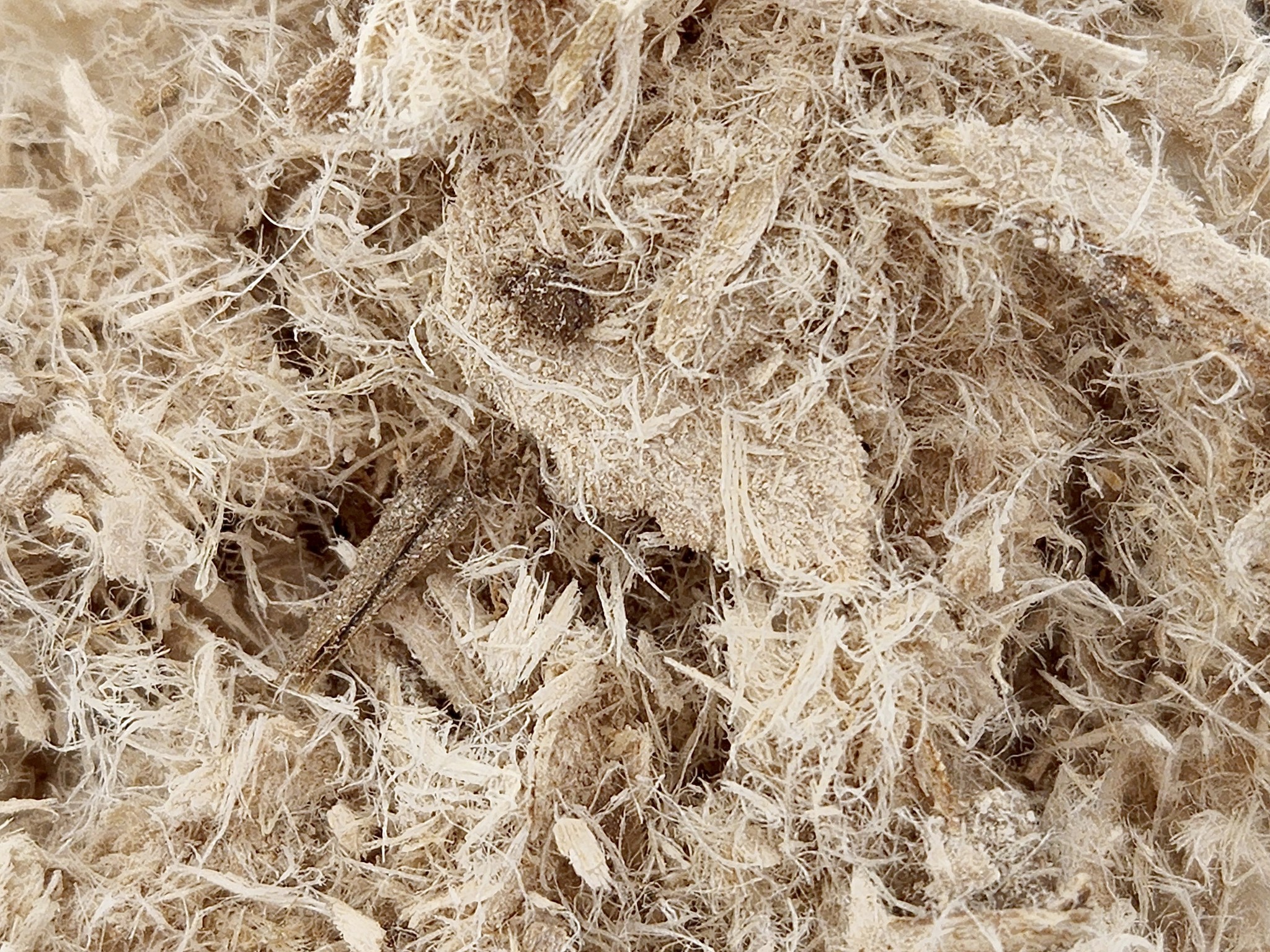 Slippery Elm Bark