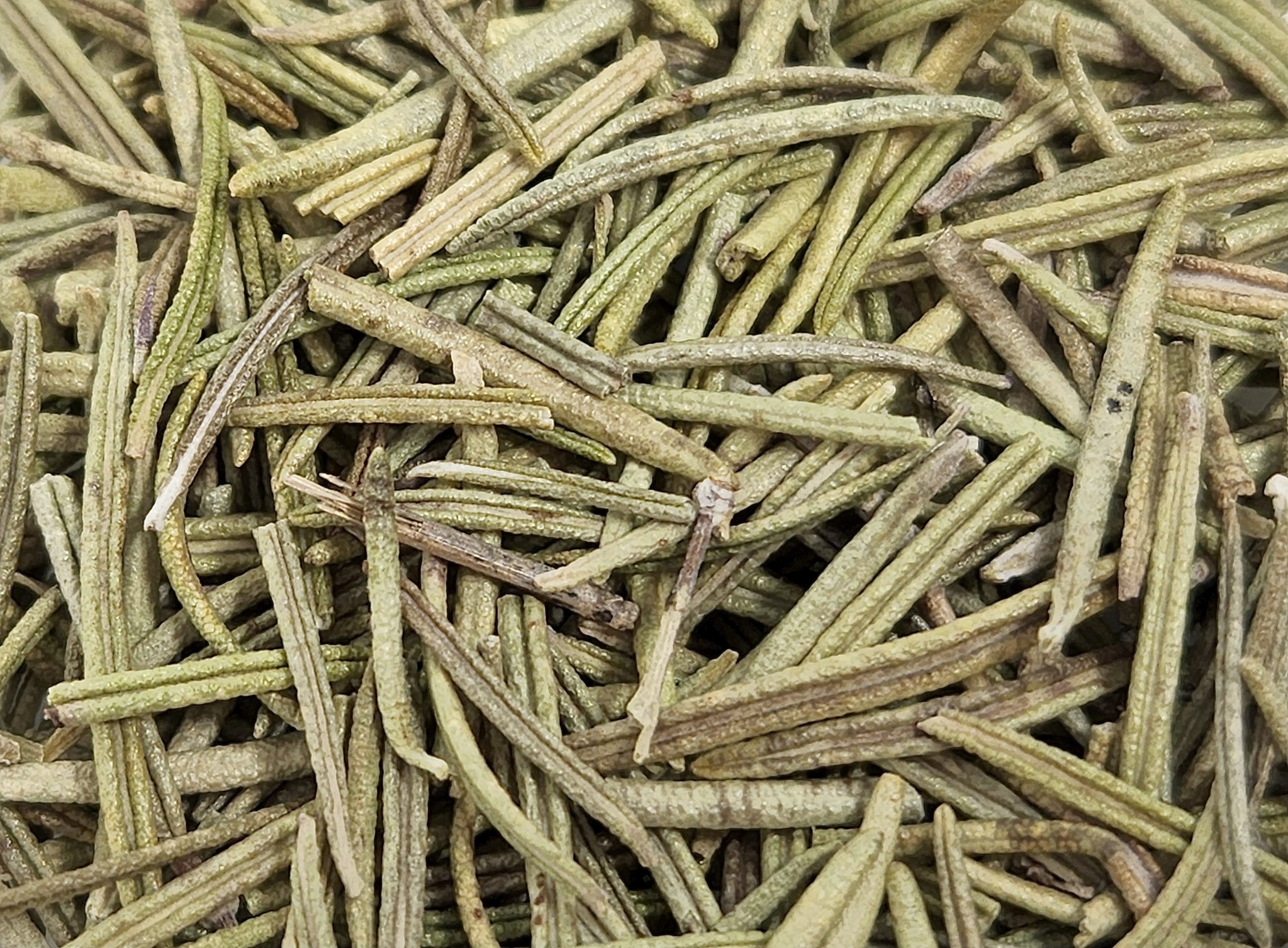 Sage Leaves - Bulk Dried Sage Cut & Sifted