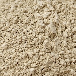 Maitake Mushroom 1:1 Extract Powder Bulk