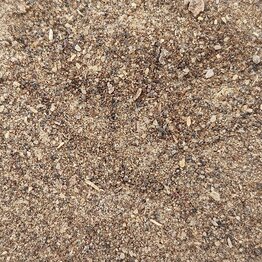 Myrrh Resin Powder/Granules Bulk