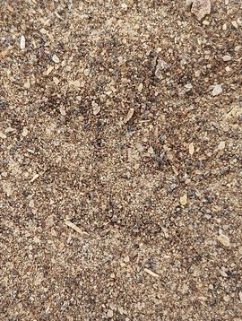 Myrrh Resin Powder/Granules Bulk