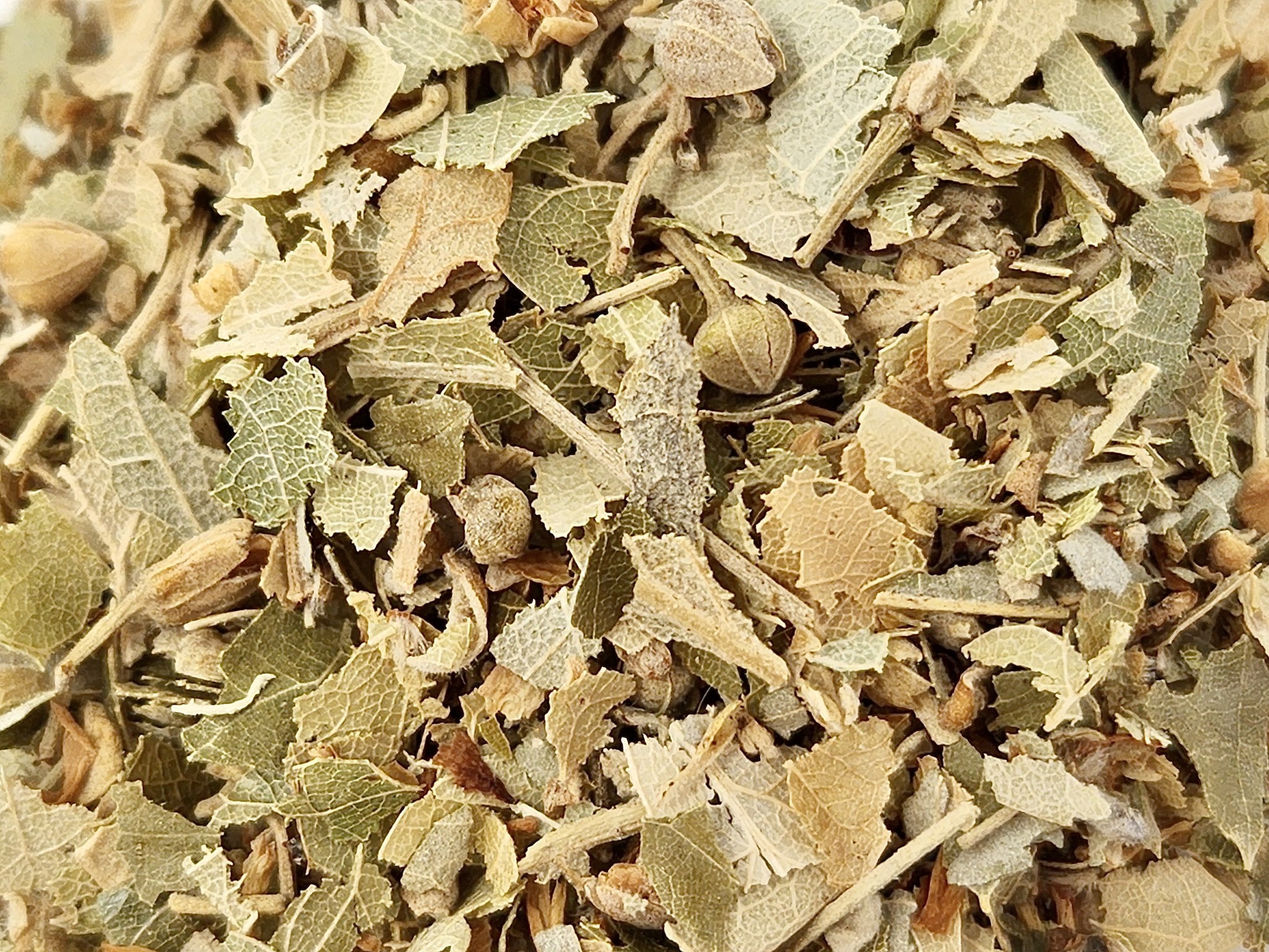 Linden Flowers & Leaves Cut and Sifted Bulk