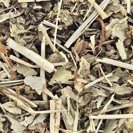 Lady's Mantle Cut and Sifted Bulk