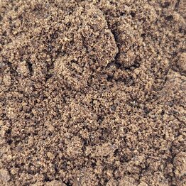 Saw Palmetto Berry Powder Bulk