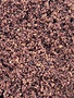 Schisandra Berry Powder Bulk