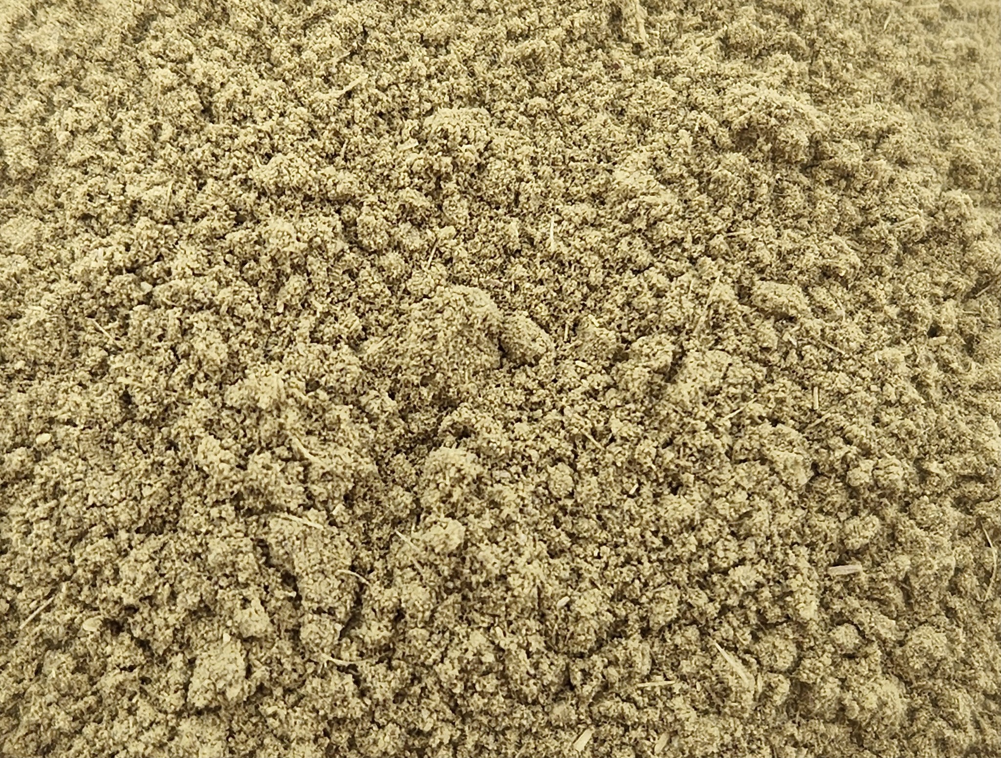 Chaparral Leaf Powder Bulk