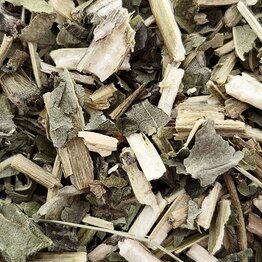 Wood Betony Herb Cut and Sifted Bulk