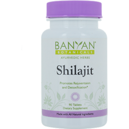 Shilajit 90 tablets