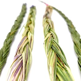 Native Scents Sweetgrass Braid 20-25"