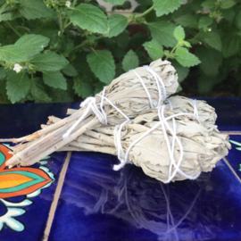 Native Scents White Sage Mini Smudges - single (Unpackaged)
