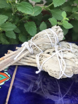 Native Scents White Sage Mini Smudge - single (Unpackaged)