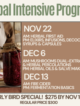 2025 Herbal Intensive Program - Early bird