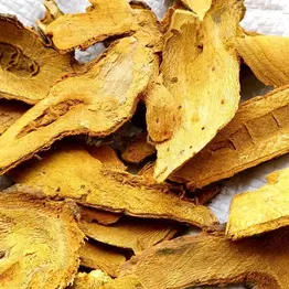 Coptis Root Slices Bulk