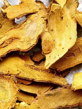 Coptis Root Slices Bulk