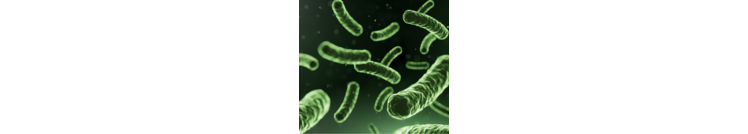 Probiotics