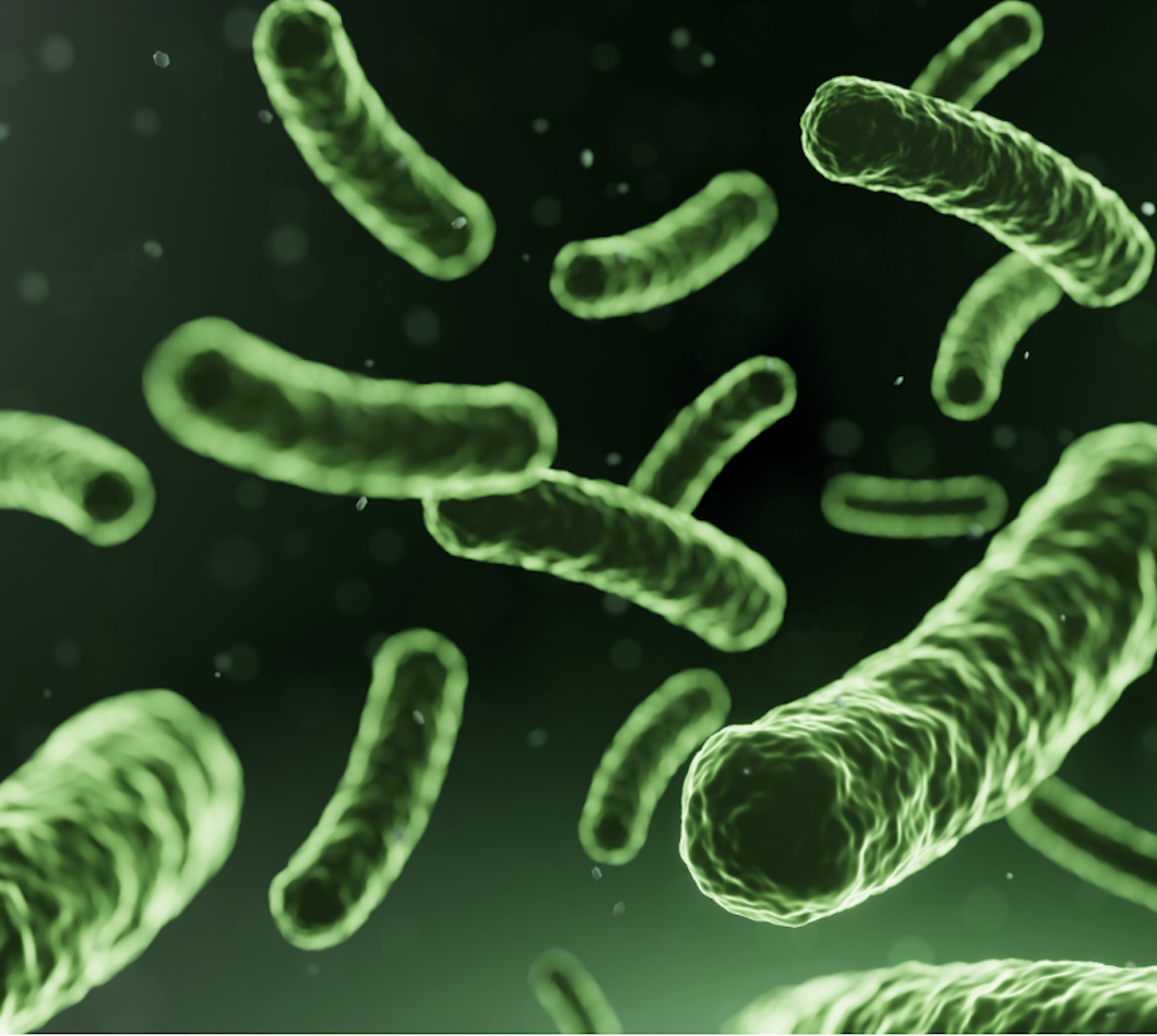 PROBIOTICS  & PREBIOTICS