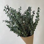 Bouquet d'eucalyptus (gros) 200g