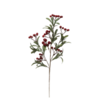 Branche baies et feuille (rouge)