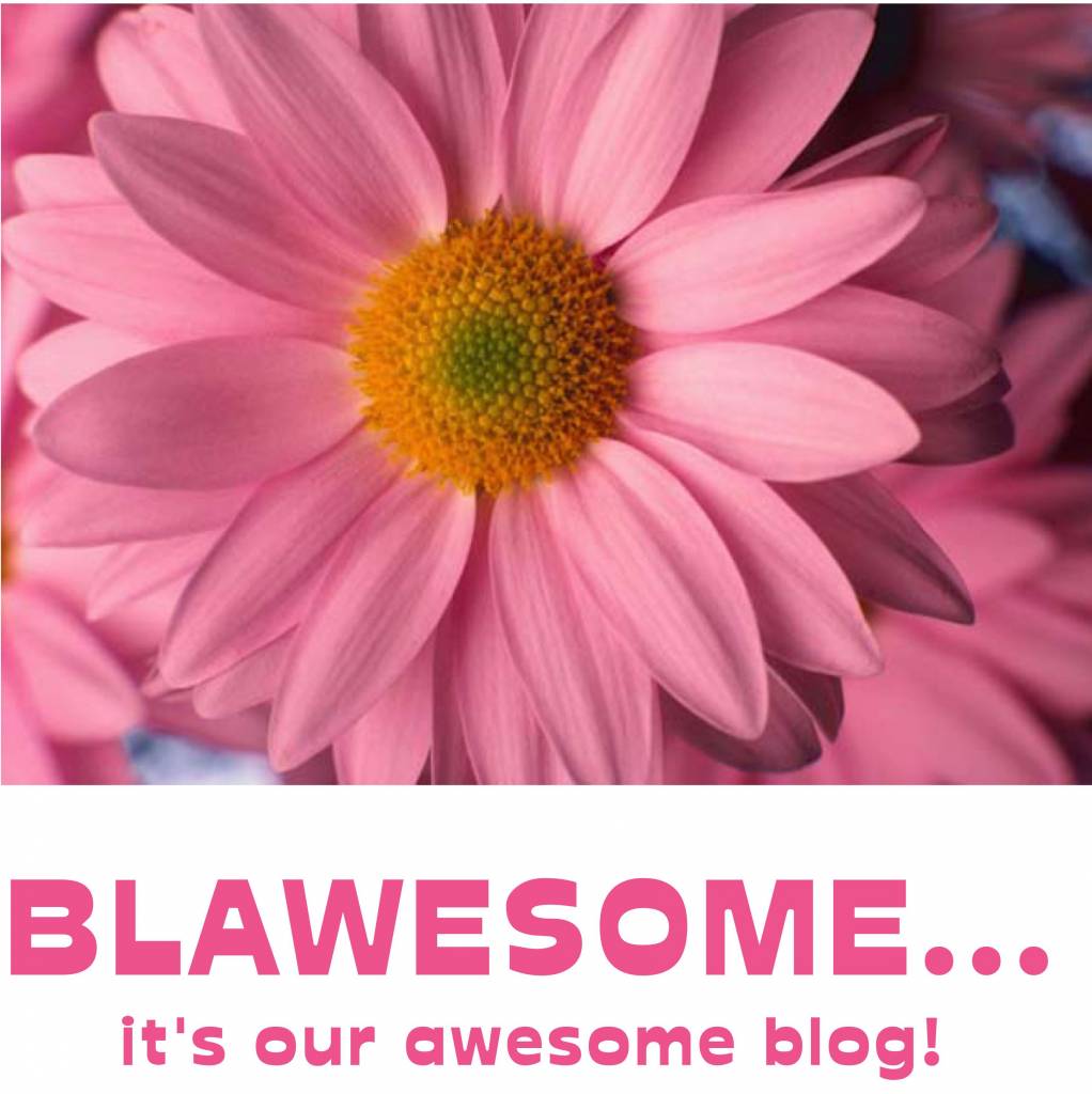New Year, New Blog... it's called "Blawesome!