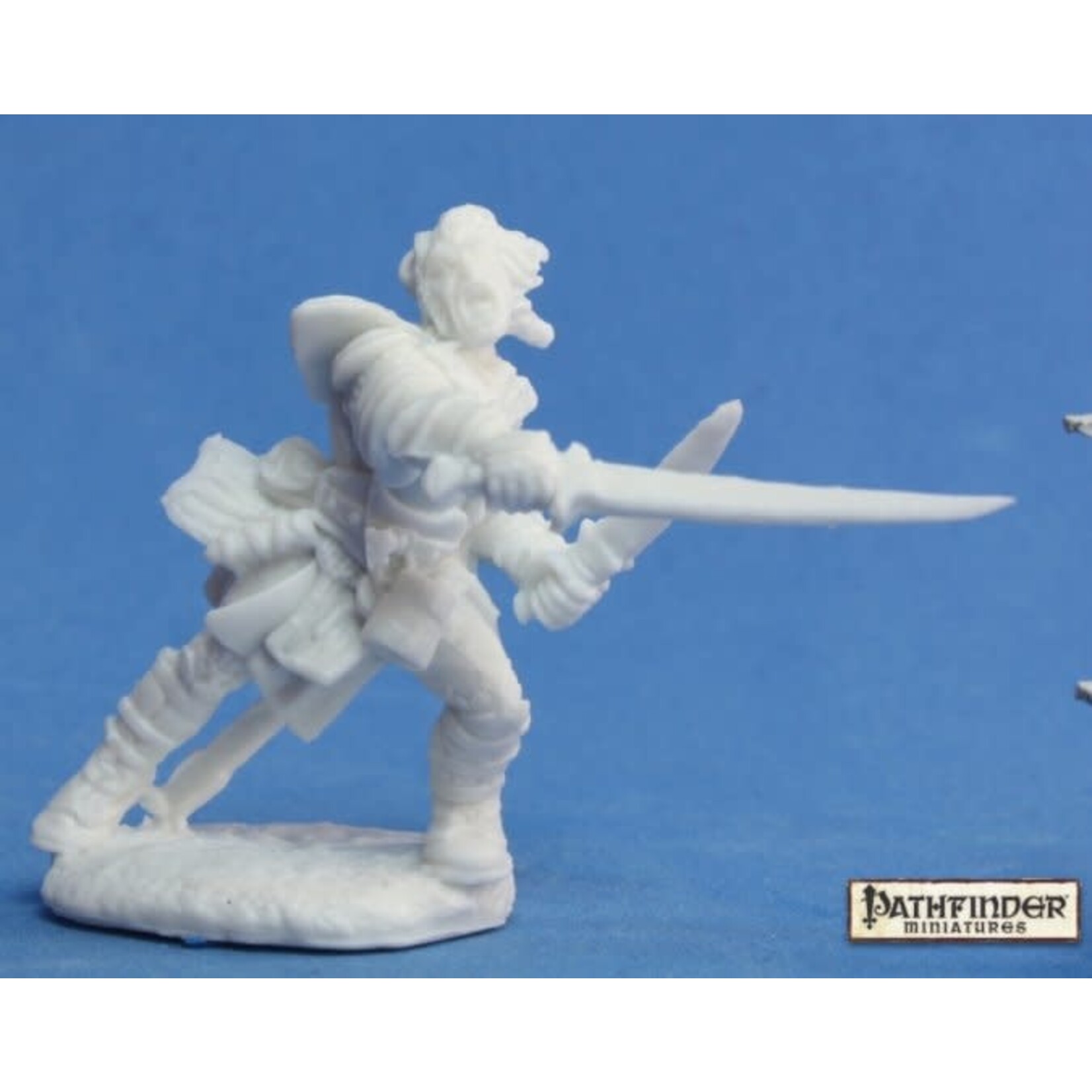 Reaper Miniatures Valeros, Iconic Fighter