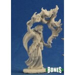 Reaper Miniatures Aaron the Conjuror