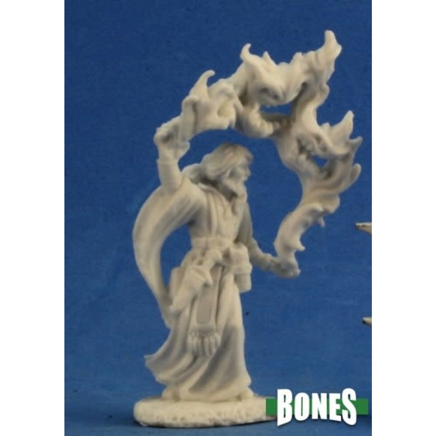 Reaper Miniatures Aaron the Conjuror