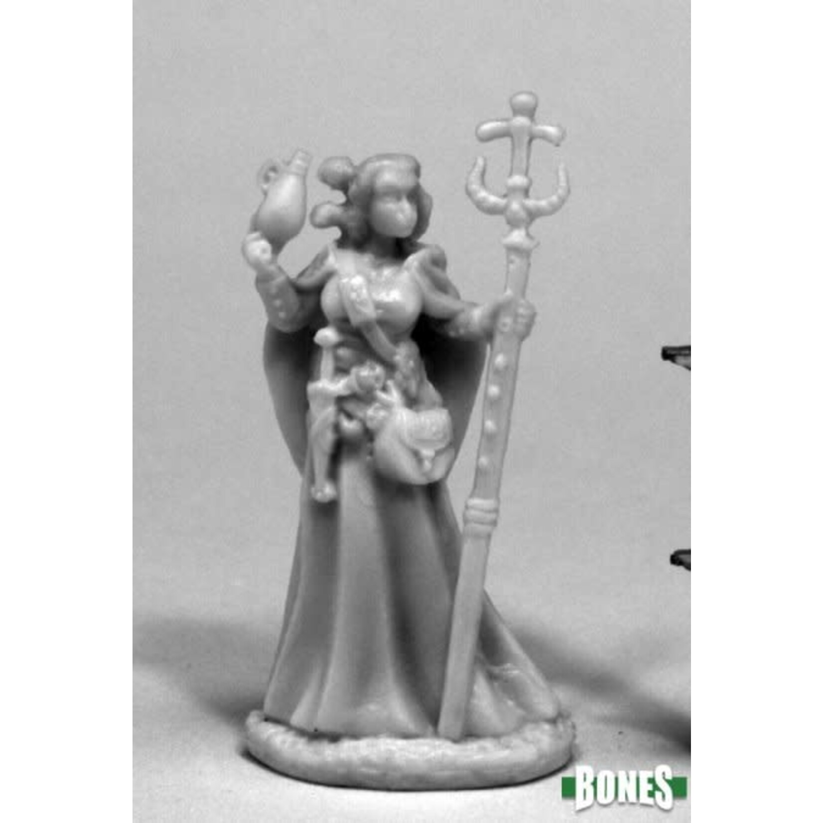 Reaper Miniatures Vonsalay, Half Orc Wizard