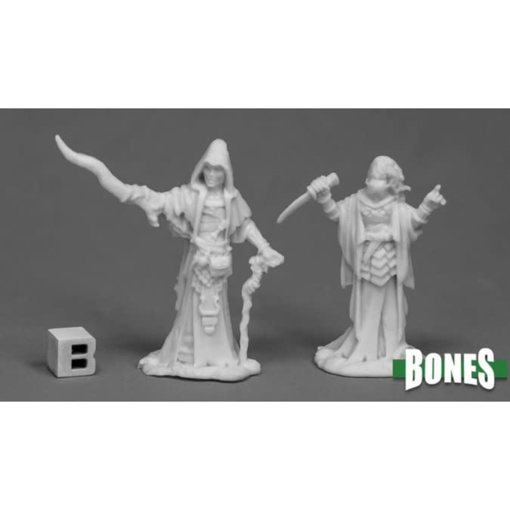 Reaper Miniatures Cultist Priests (2)