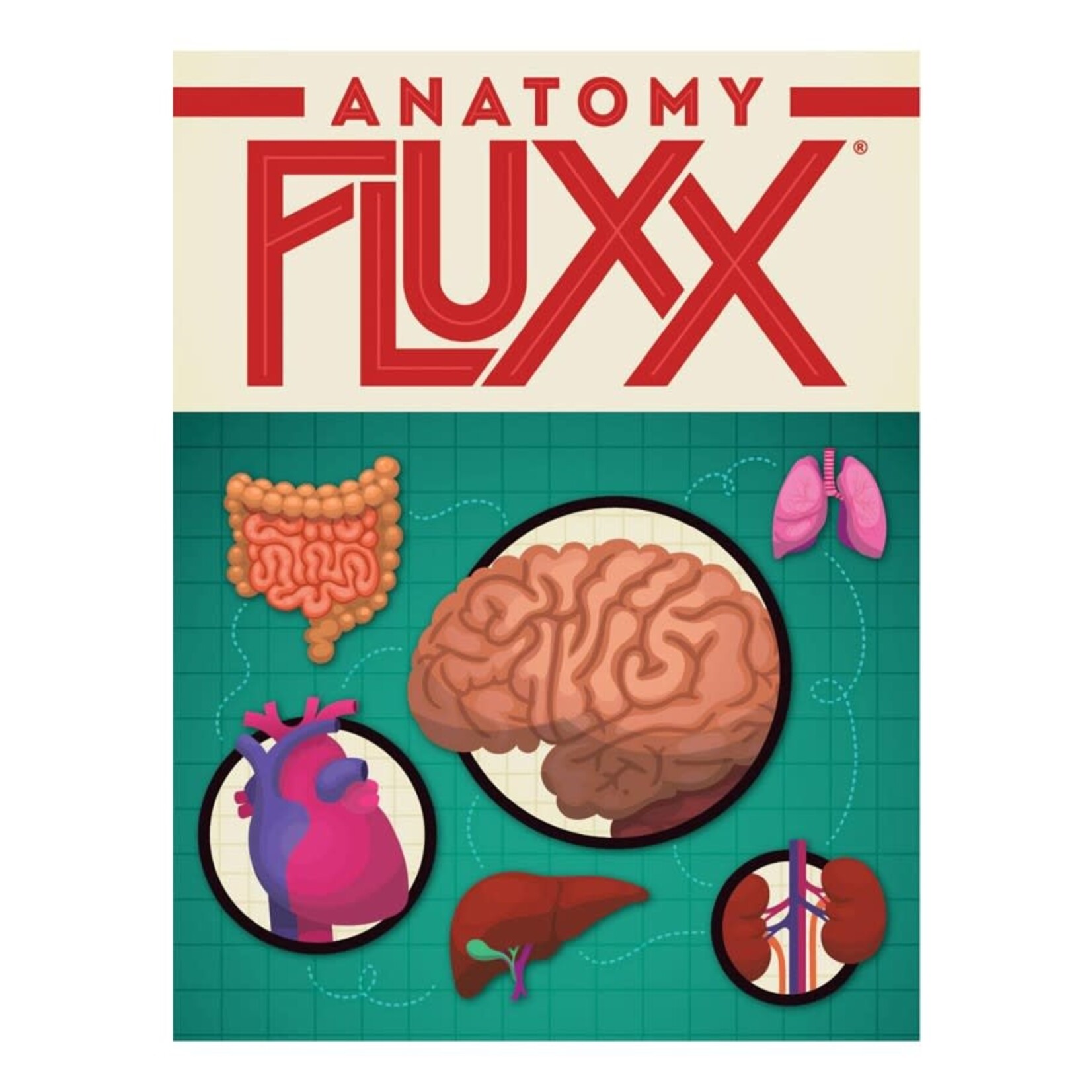 Looney Labs Anatomy Fluxx