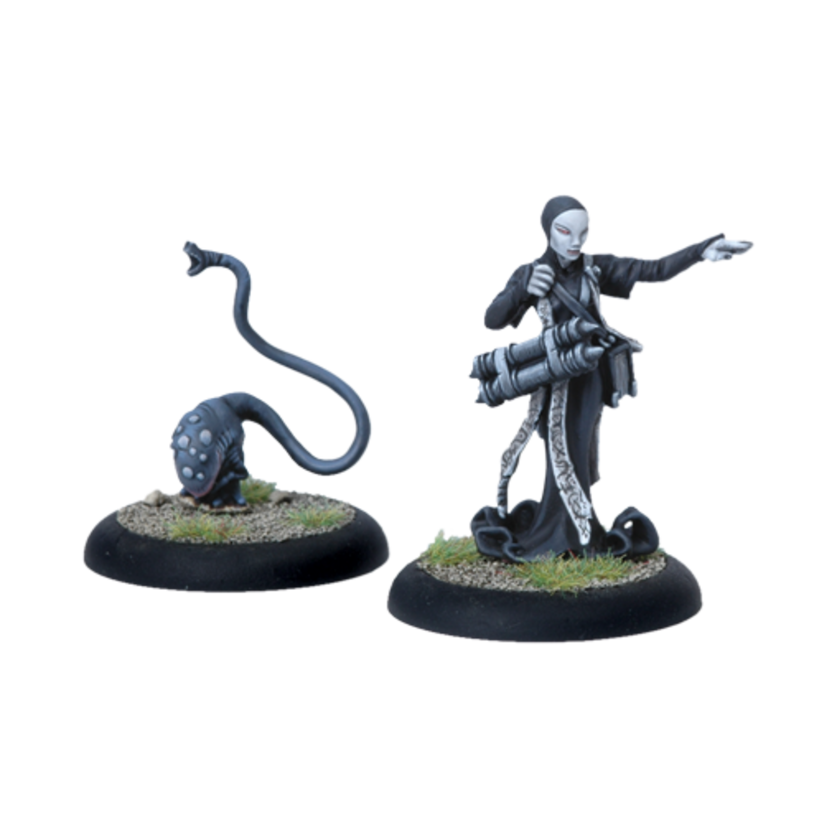 Privateer Press FMF Curator & Infernal Discerning Beast