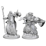 Wizkids D&D Unpainted Minis Wv1 Male Human Wizard