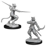 Wizkids D&D Unpainted Minis wave 7 Male Tabaxi Rogue