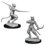 Wizkids D&D Unpainted Minis Wv7 Male Tabaxi Rogue