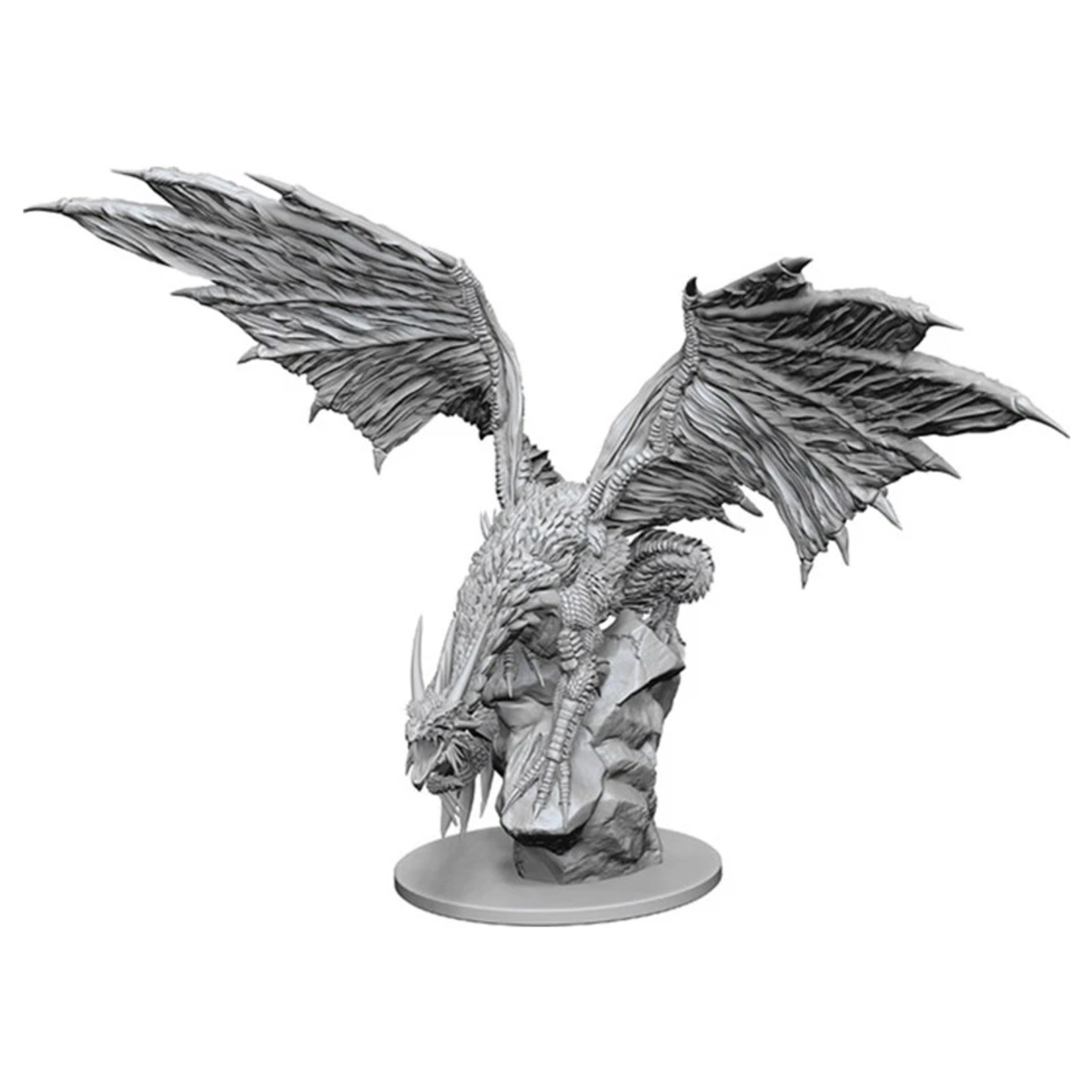 Wizkids Pathfinder Deep Cuts Unpainted Miniatures: W12.5 Silver Dragon