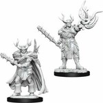 Wizkids Pathfinder Deep Cuts Unpainted Miniatures: W10 Male Half-Orc Druid