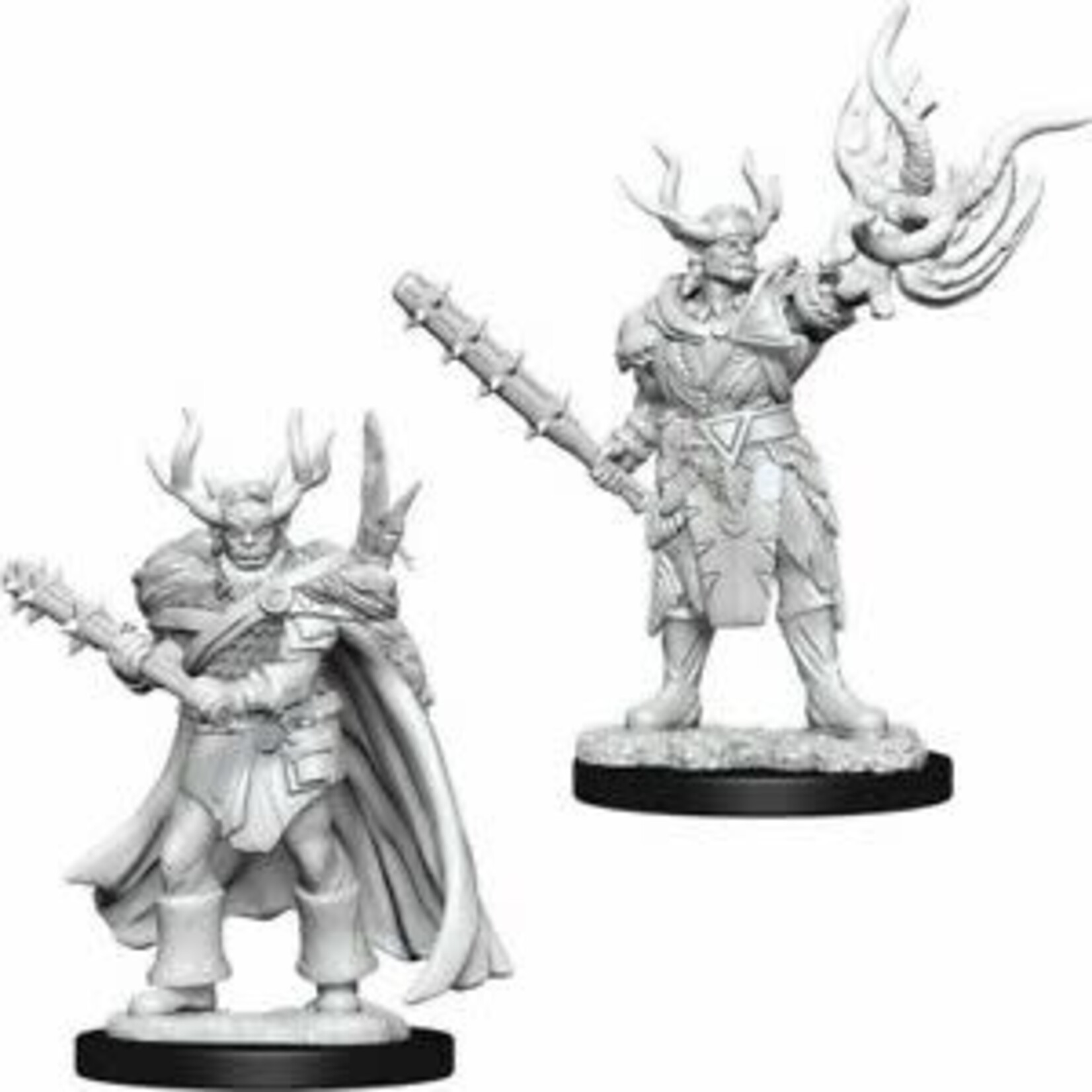 Wizkids Pathfinder Deep Cuts Unpainted Miniatures: W10 Male Half-Orc Druid