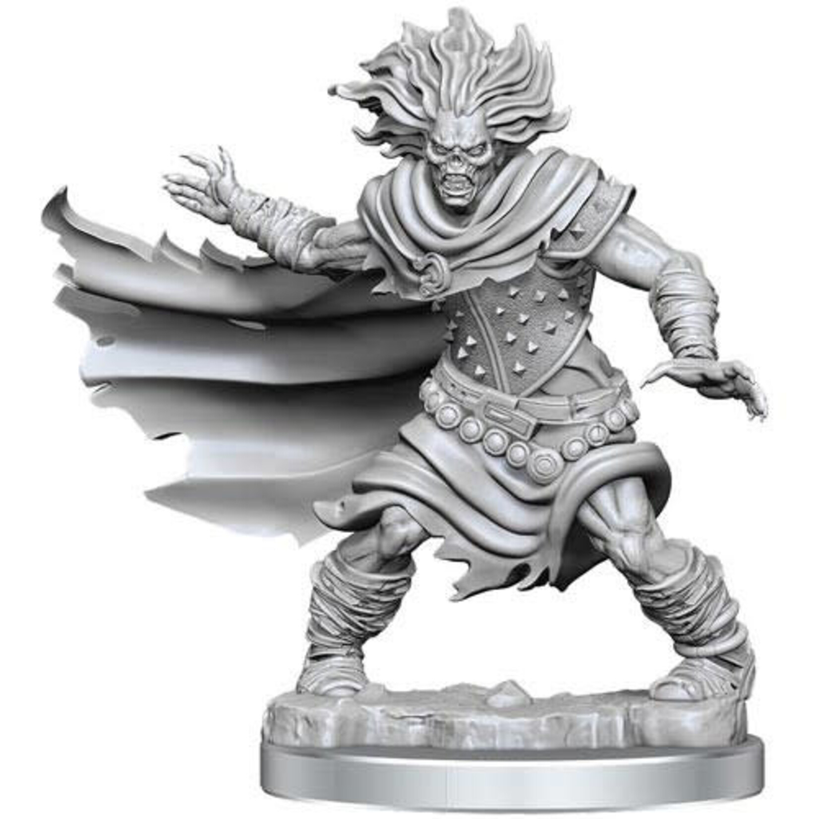Wizkids D&D Frameworks: Wave 1- Wight