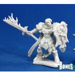 Reaper Miniatures Almaran the Gold, Paladin