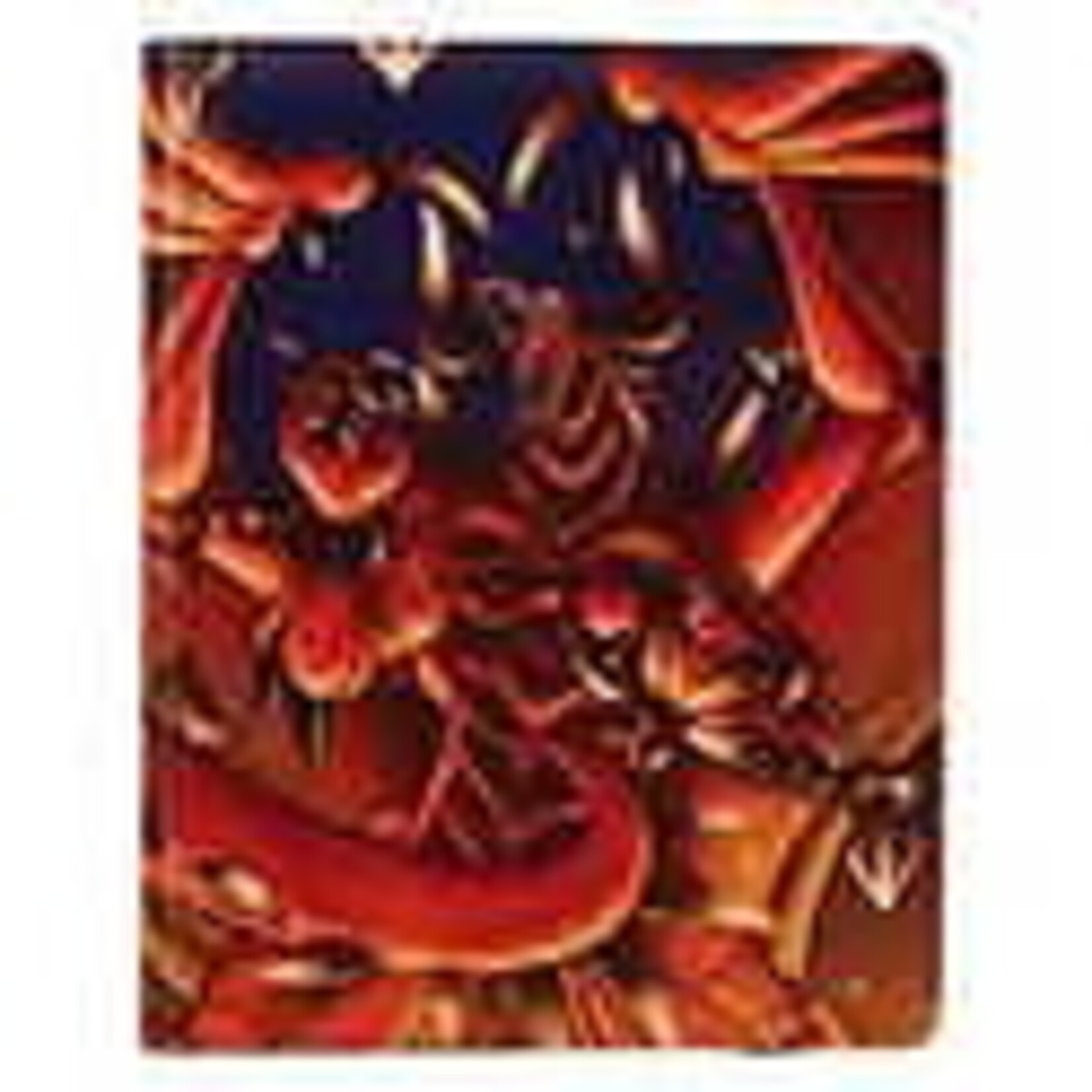 DRAGON SHIELD CARD CODEX 360 PORTFOLIO RENNDESHEAR