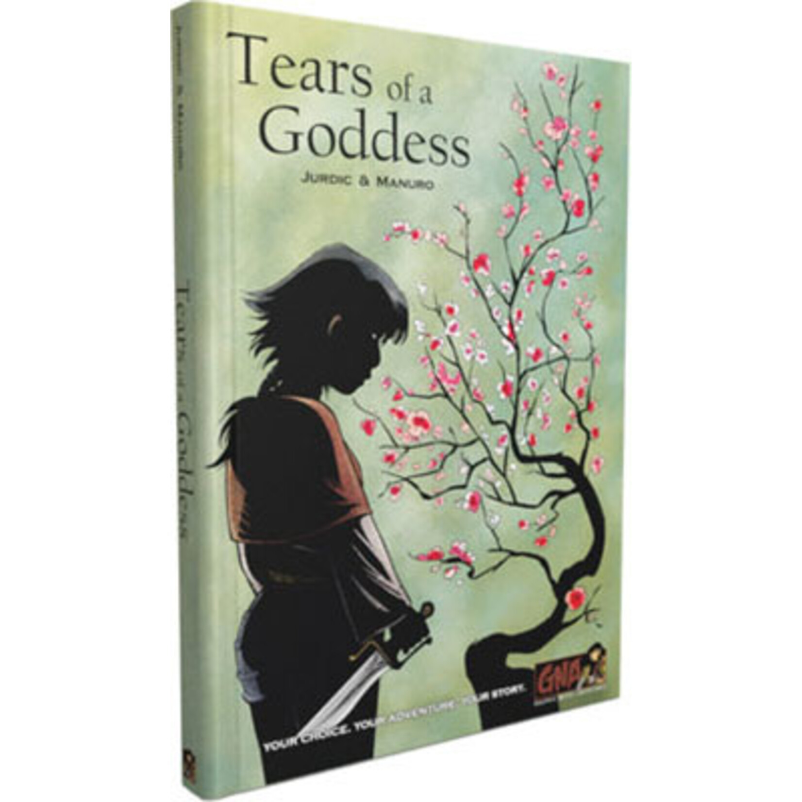 Graphic Novel Adventures: Tears of a Goddess