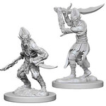 Wizkids Dungeons & Dragons: Nolzur's Marvelous Unpainted Miniatures - W04 Githyanki