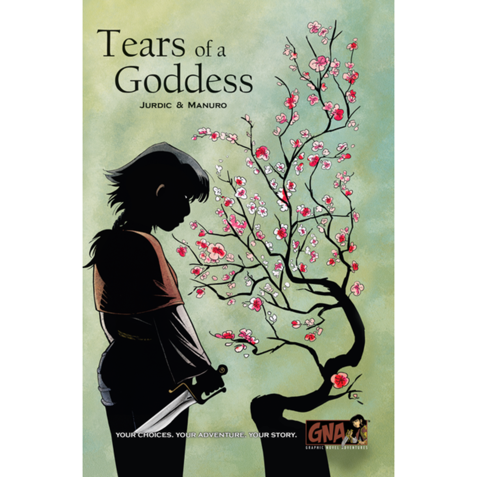 Graphic Novel Adventure #2 Tears Of A Goddess (Hardcover)
