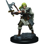 Wizkids D&D Icons Painted Minis Human Female Barbarian