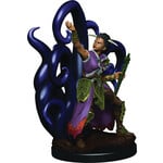 Wizkids D&D Icons: Premium Fig Female Human Warlock