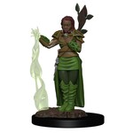 Wizkids DND Premium Figures Female Human Druid